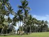 Peacock Park’s Resilience Project Under Scrutiny