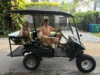 Cart Blanche: Life in the Grove’s Slow Lane