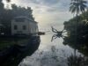 Peak Tide Season Returns to the Grove