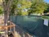 City Board Tosses One Tree Appeal, Grants Two Others