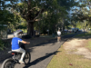 Pedestrian Safety in the Age of E-Bikes: Much Concern, Little Action