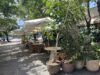 Fuller Street’s Tables Are Back. So Are Questions About the Rules