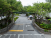 Everyone Wants In: The Squeeze at Coconut Grove’s Private Schools