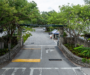 Everyone Wants In: The Squeeze at Coconut Grove’s Private Schools