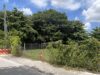 Under Siege: Historic Charles Avenue Fights Back