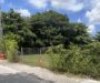 Under Siege: Historic Charles Avenue Fights Back