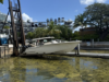 The Good, the Bad and the Smelly: Sargassum in Coconut Grove