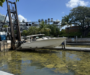 The Good, the Bad and the Smelly: Sargassum in Coconut Grove