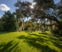 City of Miami Tree Workshops