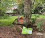 Compromises Emerge as Miami Tree Appeals Return to Preservation Board