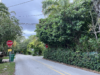Sight-Visibility Rules Put Grove Greenery in the Crosshairs