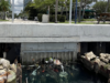 As Tax Revenues Soar, Pardo Turns to Private Donors for Public Projects