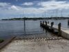 Dead Dog Found Tethered to Cinder Blocks in Coconut Grove Waters