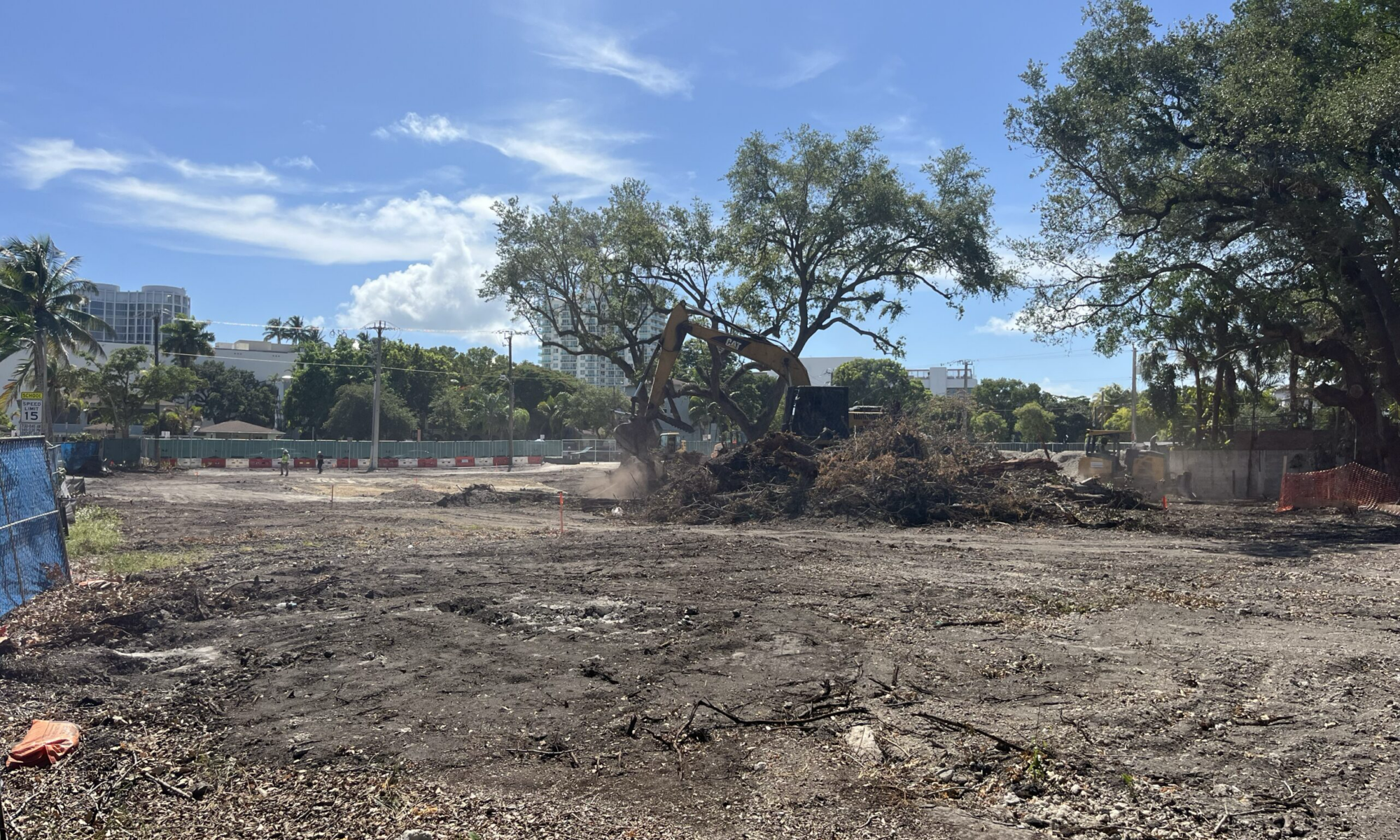 Miami Is Moving Nearly $1 Million in Tree Money. Where Is It Going ...