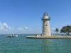 Bay Watch: Tracking Sharks and Rays in Biscayne Bay